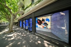 上海市徐汇区文化取旅逛局局长伍彦心、中国动